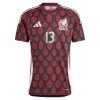 Fotballtrøye Mexico Guillermo Ochoa 13 Hjemmedrakt 2024 Kortermet
